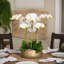 Orchid Floral Arrangement in Planter-249749295-249749293-249749281