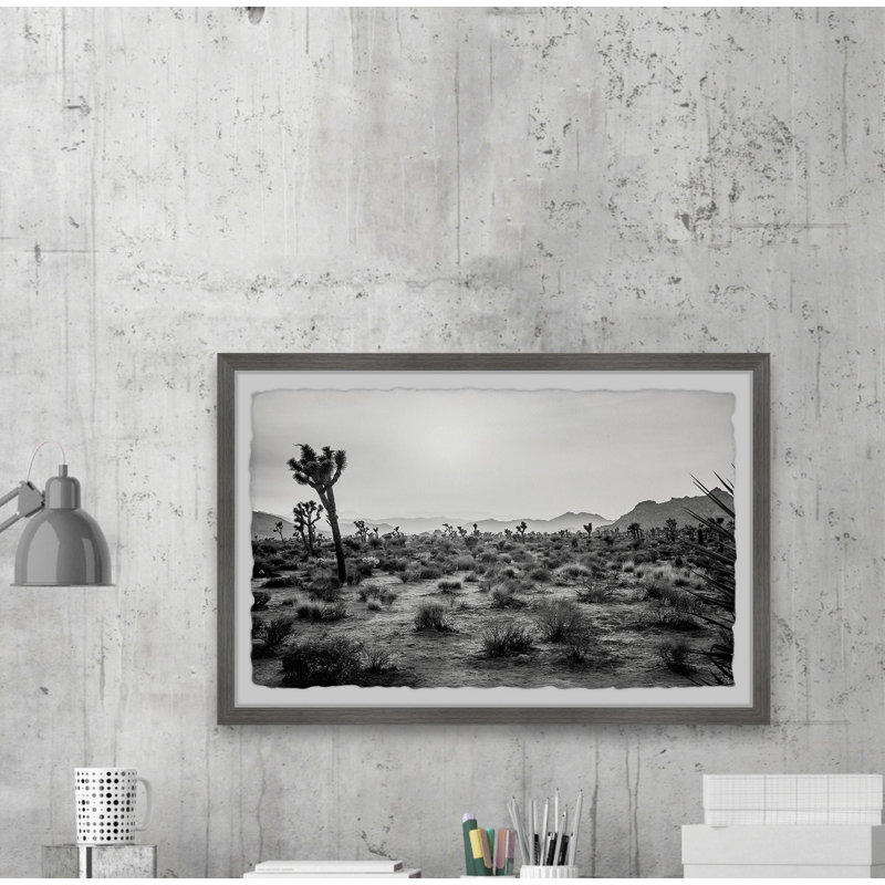 Joshua Trees - Single Picture Frame Print, 20cm H x 30cm W x 3.81cm D