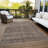 Machine Washable Indoor/Outdoor Cicel ACN1165 Coffee Rug-100248799