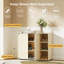 10 Pair Shoe Storage Cabinet