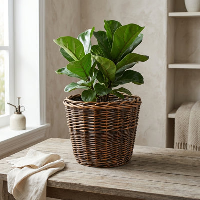 Theodis Handmade Pot Planter