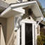 Sapin Douglas-31648721-31641561