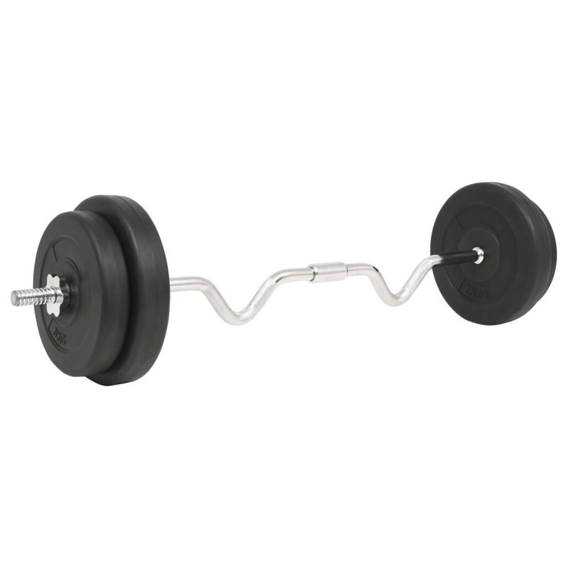 Freeport Park Black Steel Barbell Set