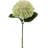 18" Hydrangea Stem - 6 Pack