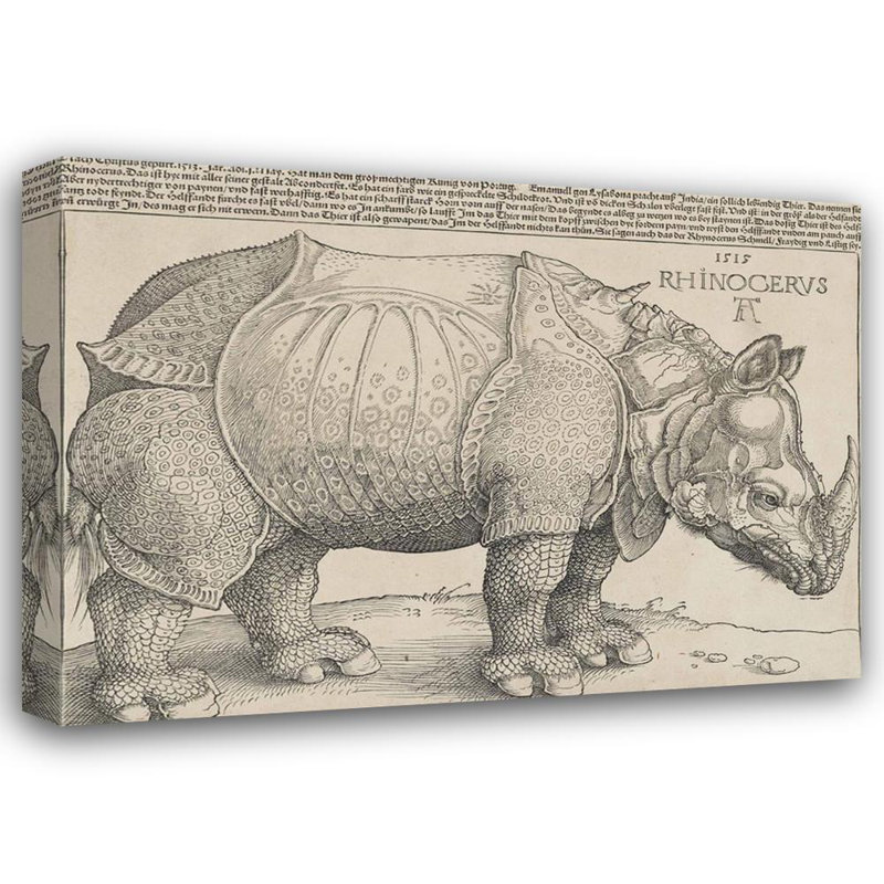 Rhinoceros