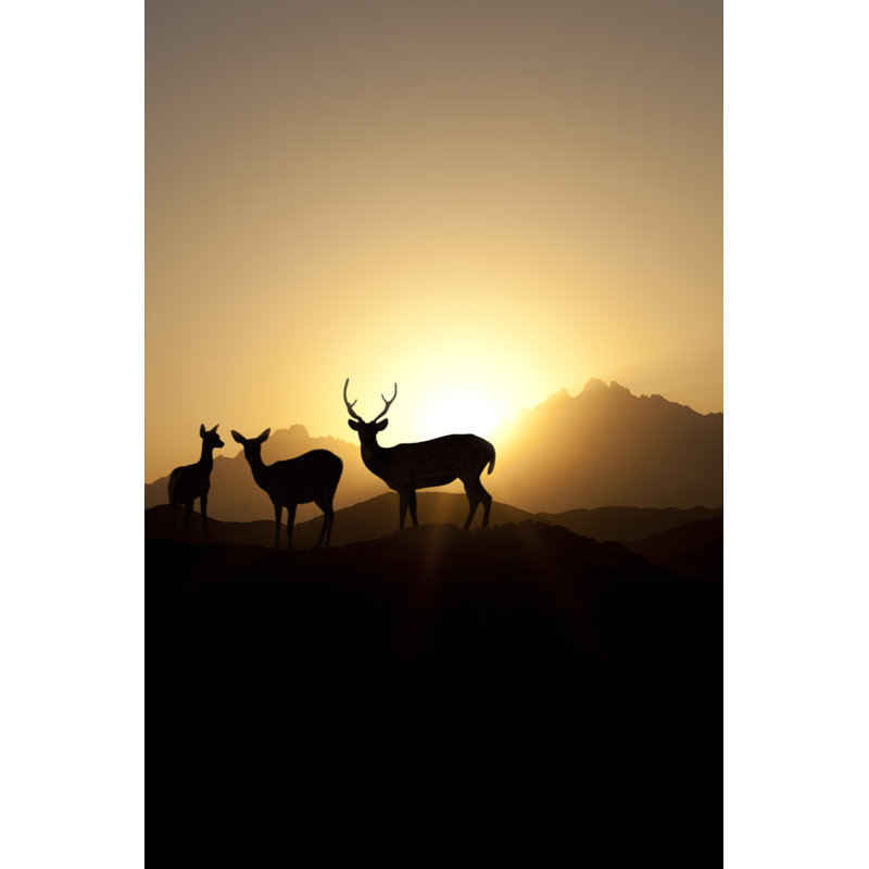 Mule Deer in Sunset 1 Piece Wrapped Canvas Wall Art, 91cm H x 61cm W