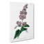 Hungarian Lilac Flowers - Wrapped Canvas-55304380