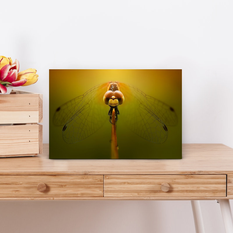 Golden Dragonfly Contemporary Dragonfly Wall Art Print 1 Piece Wrapped Canvas Wall Art, 30.48cm H x 45.72cm W