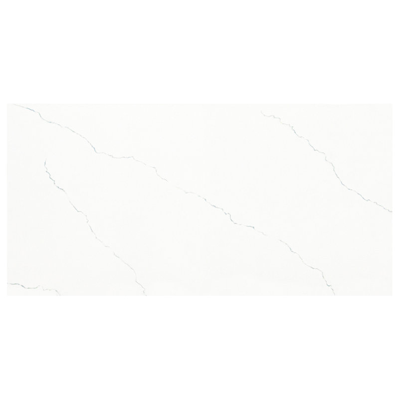 Belvia 24 in. x 48 in Polished Porcelain Stone Look Floor and Wall Tile, Lune