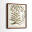 «Sepia Botanical Journal I», reproduction encadrée de qualité supérieure - prête à être accrochée - aucun clou requis - aucun clou requis-1343837973-1343837975