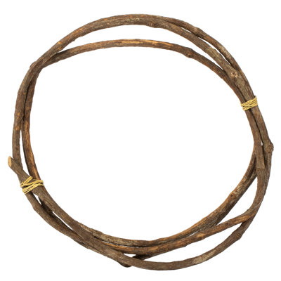 Tranca Vine Plant