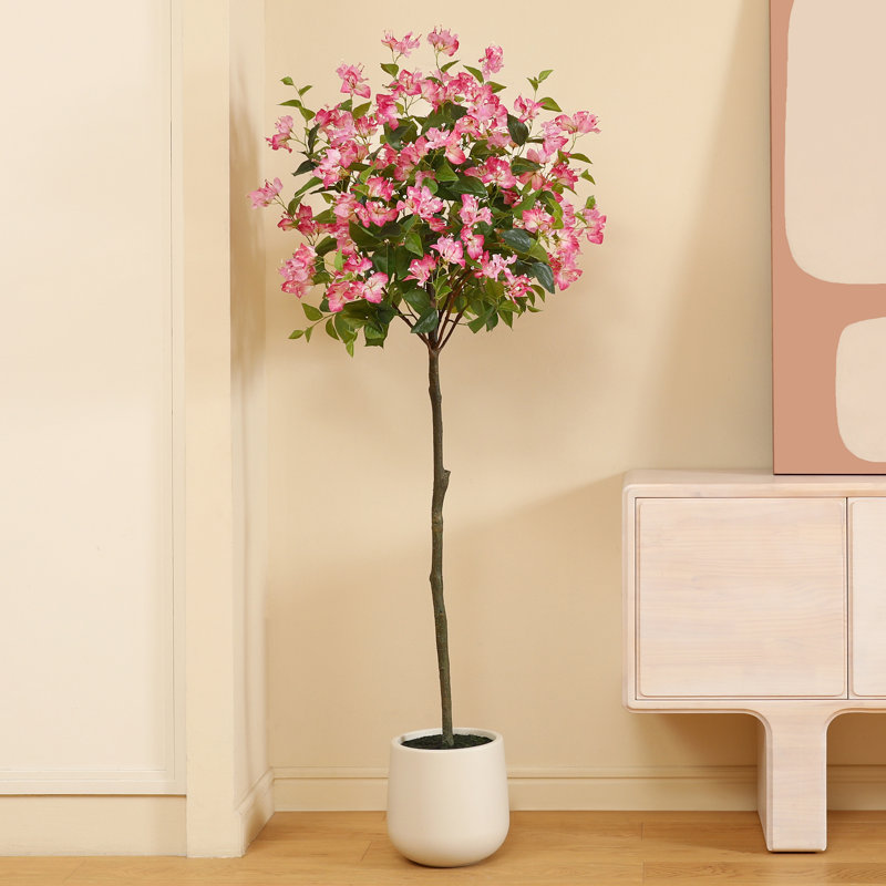Arbre à fleurs Adcock Bougainvillea, H 72 po x l 24 po x P 24 po