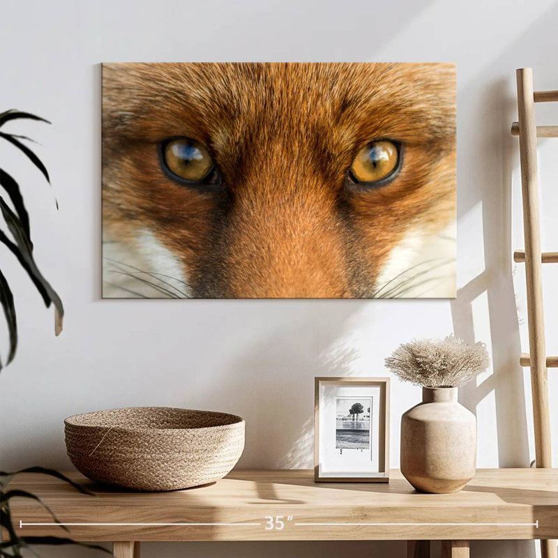 Amber Eyed Fox, 16" H x 24" W