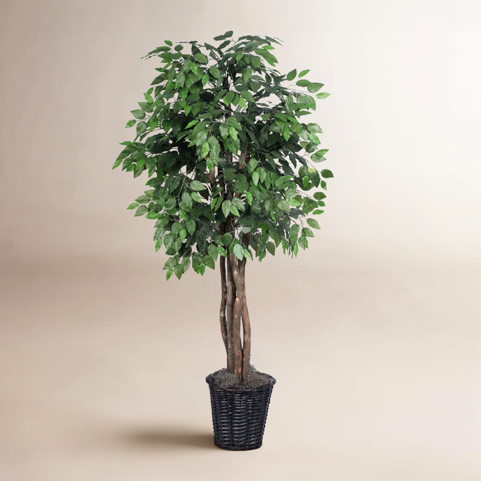 72'' Faux Tree in Wicker/Rattan Basket