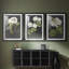 «Dramatic White Flowers I», reproduction sur mesure encadrée de qualité supérieure, mat, 3 pièces-535746711