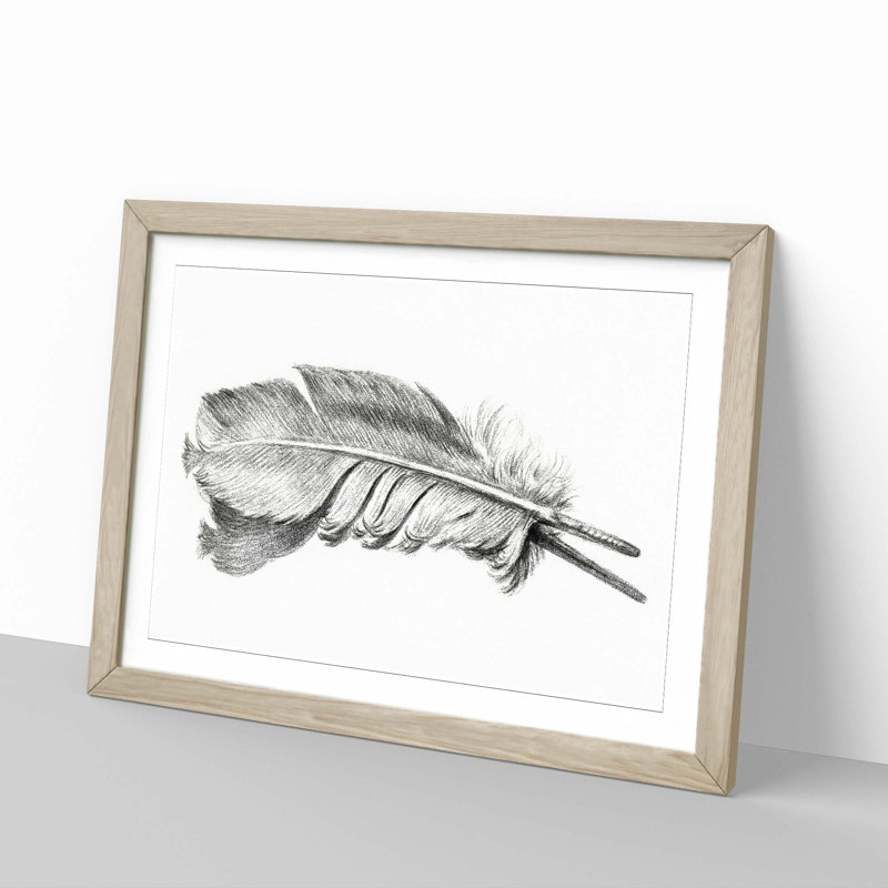 Feather by Jean Bernard - Picture Frame Drawing Print, 36cm H x 48cm W x 2cm D, Oak Framed
