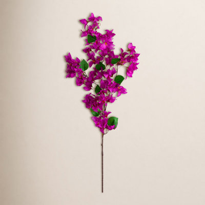 Bougainvillea Floral Stems