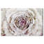 «Winter New York Flower», reproduction d'impression-252314913-252315101