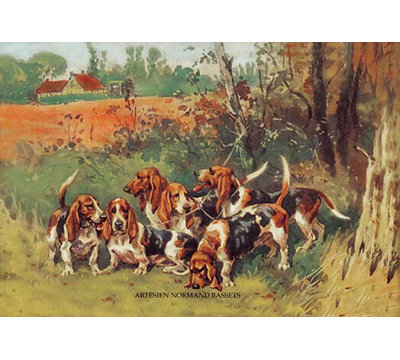 " Artesien Normand Bassets " by Baron Karl Reille