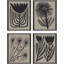 Simple Florals S/4 Print by Watts