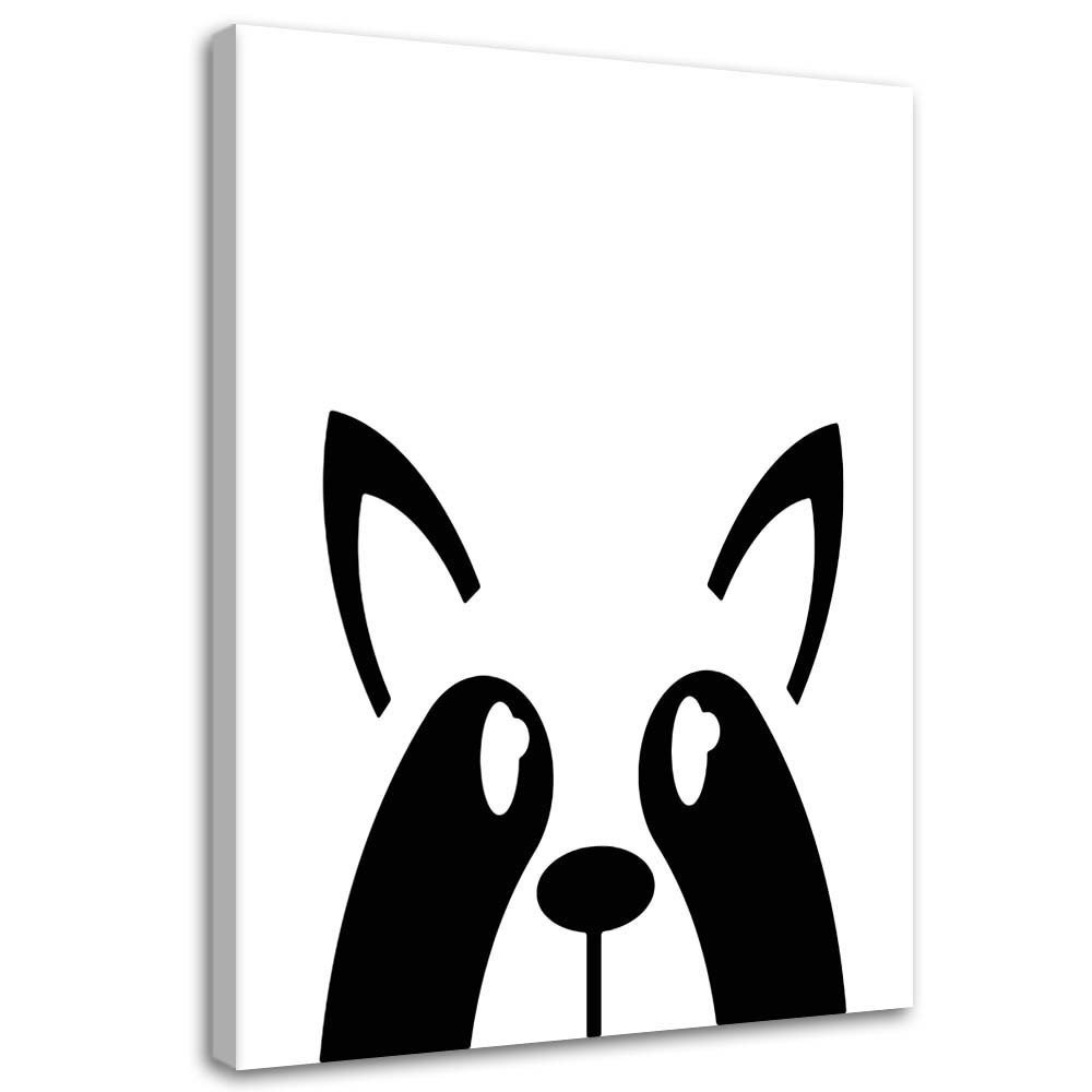 Leinwandbild Raccoon Animal