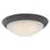 Ceiling Light
