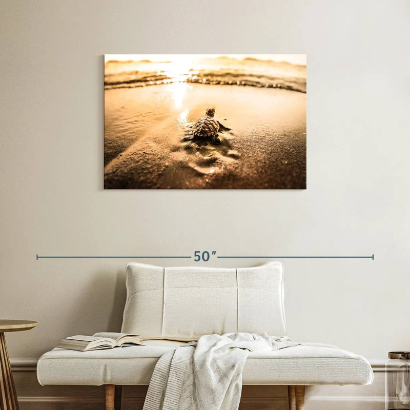 «Brampt Little Sea Turtle Adventure», H 24 po x l 36 po
