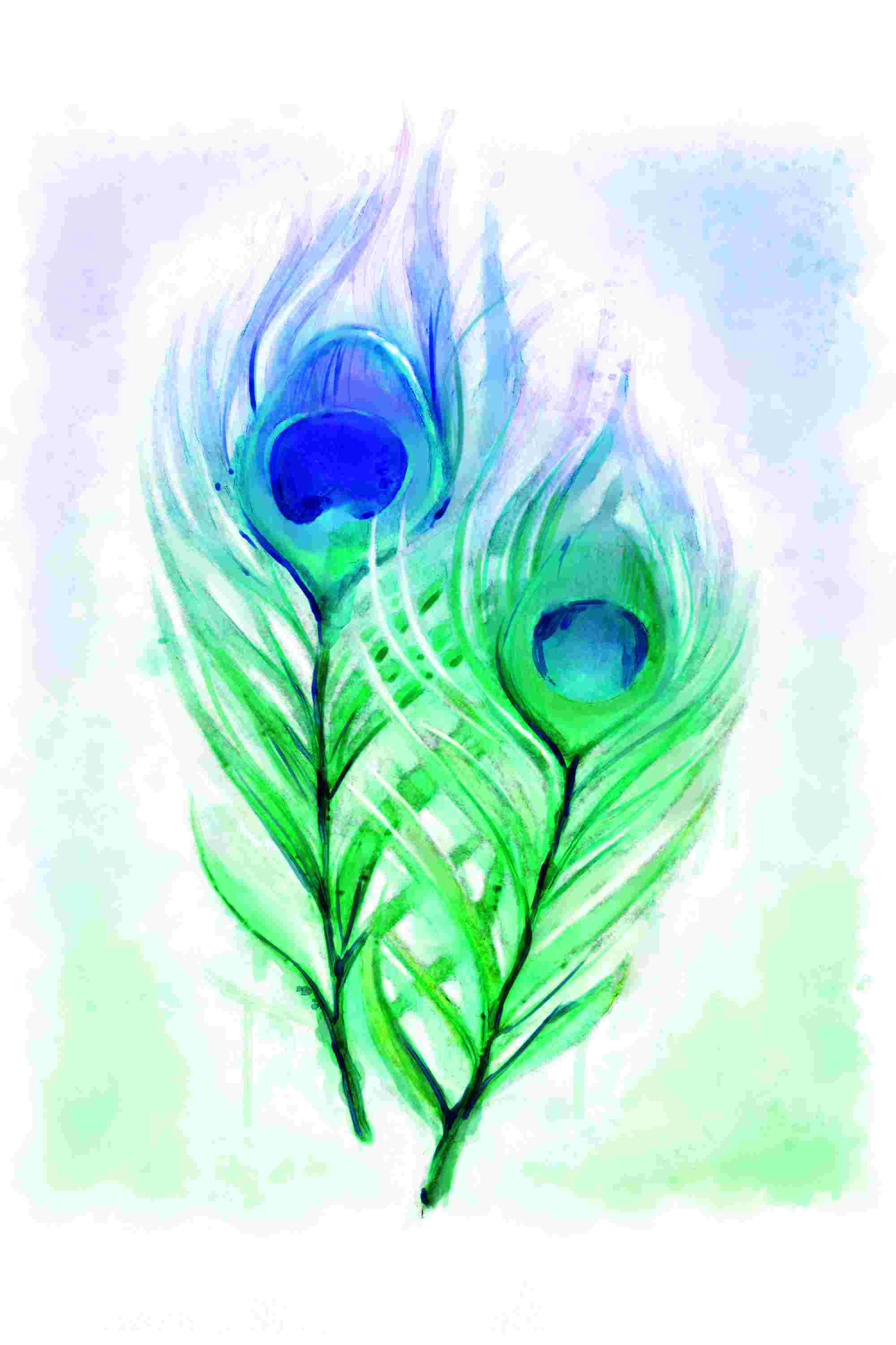 Peacock Feather Drawing - Yogita's Art | OpenSea