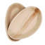 Assiette plate Palm Leaf