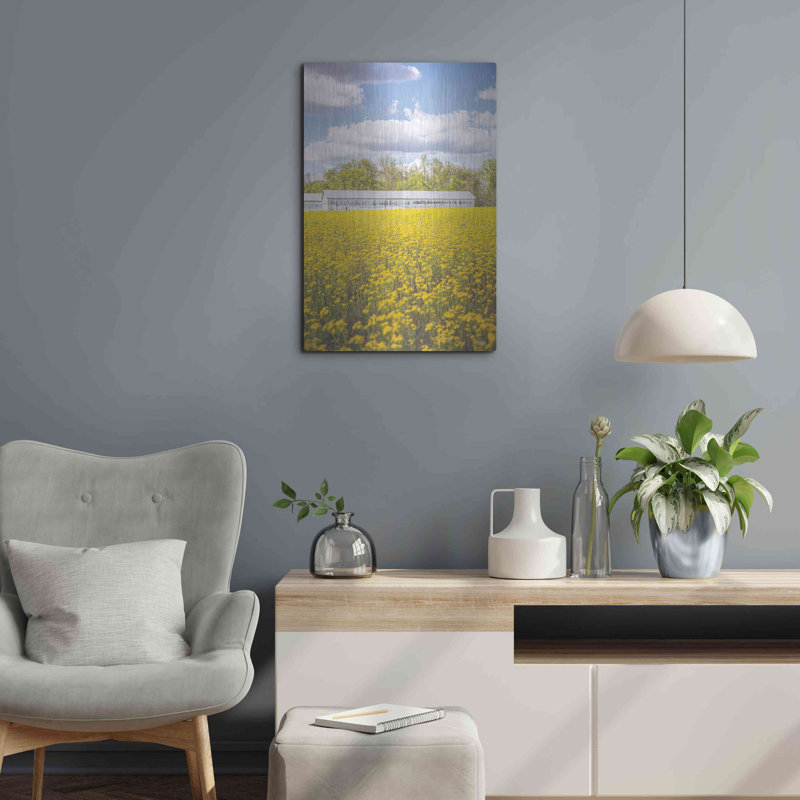 «Field of Yellow I» par Donnie Quillen, art mural en métal, 16 po x 24 po
