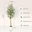 Plant-631515799
