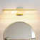 Muammar 24'' Dimmable LED Vanity Light