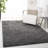 Jiang Indoor Rug-608607620