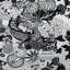 Chiang Mai Dragon Wallpaper-29547516