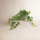 Weatherhill 11" Ivy Plant in Pot
