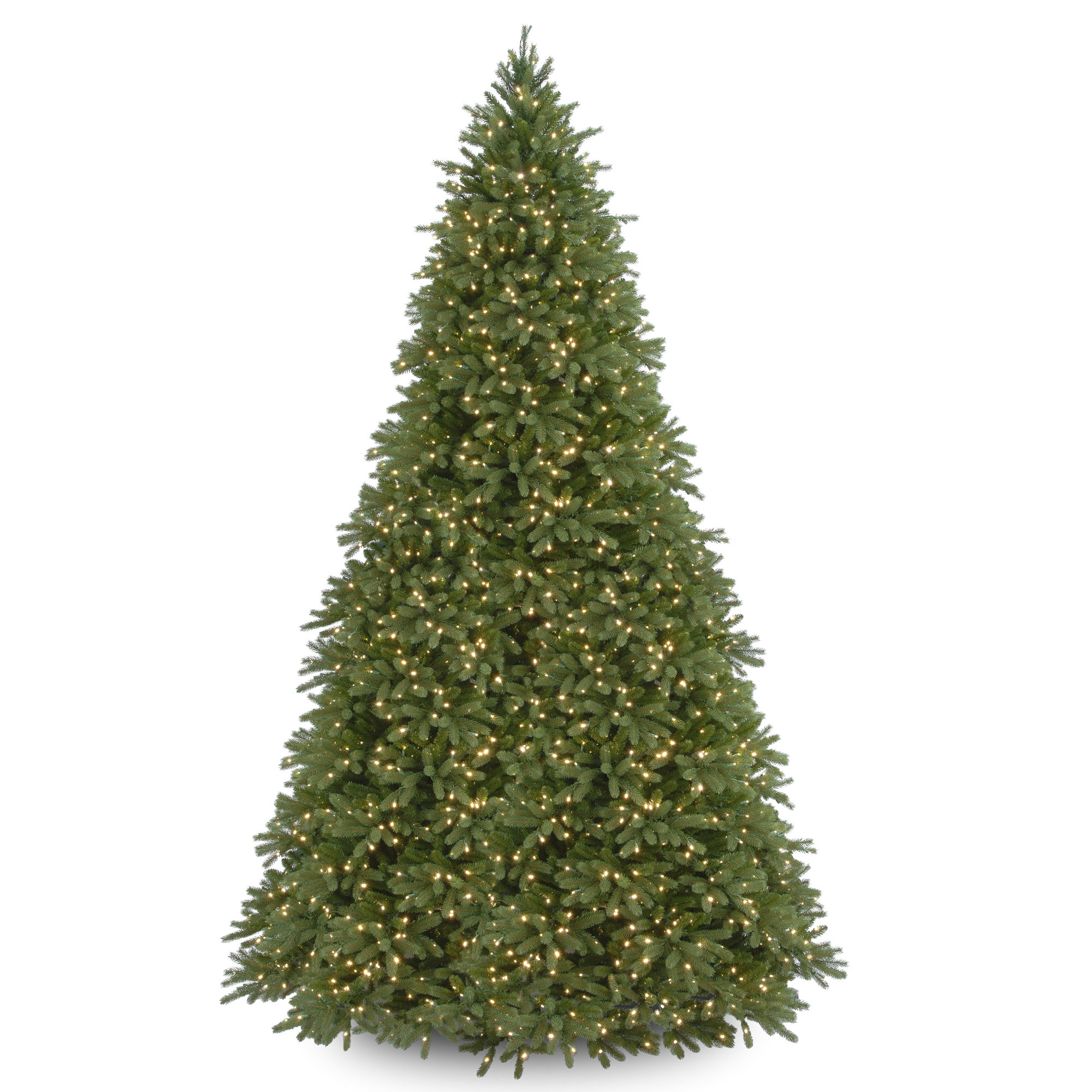The Holiday Aisle® Jersey Fraser Fir Tree with Clear Lights, 12'