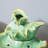 Ellington Circle Weather Resistant Table Top Fountain