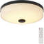 Glass Flush Mount