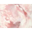 Surface Print by Carla White-65852699-65827519