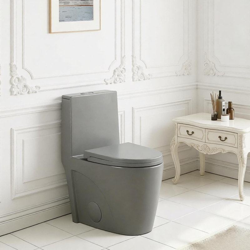 1.1/1.60 GPF Dual-Flush One Piece Toilet, Water-Saving Elongated Comfort Height Floor Mounted, Soft Close 1000 Gram Map Flushing Score Toilet, Light Grey 