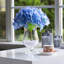 Arrangement d'hortensias dans un vase-1835935735