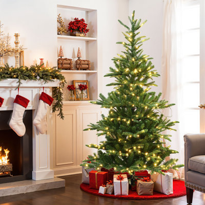 6Ft Pre-Lit Realistic Evergreen Artificial Christmas Tree with 360 Warm White LED Lights