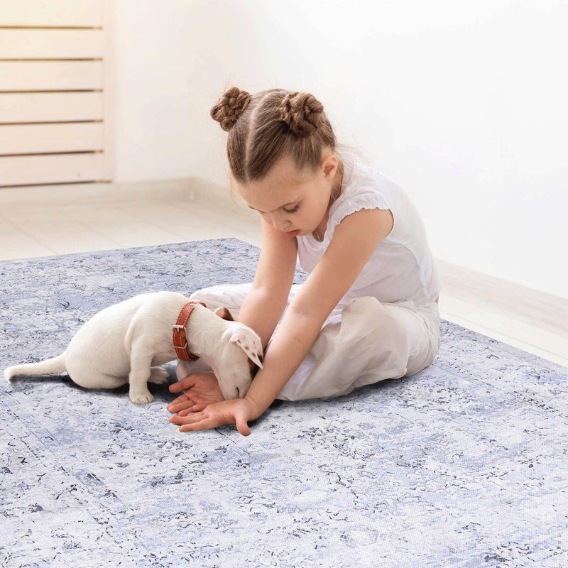 Tapis 5 x 8 po