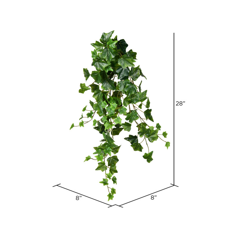 Ivy Arrangement