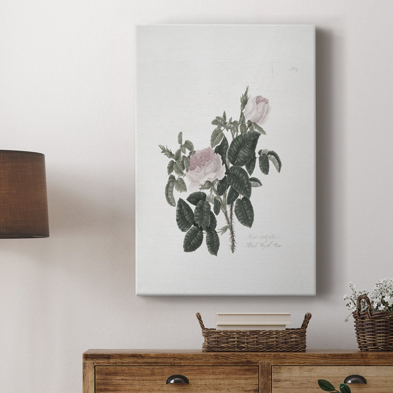 Imprimé floral rétro CLxxxix - galerie Cavas, H 12 po x l 8 po