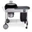 Performer Weber Charcoal Grill-13494001