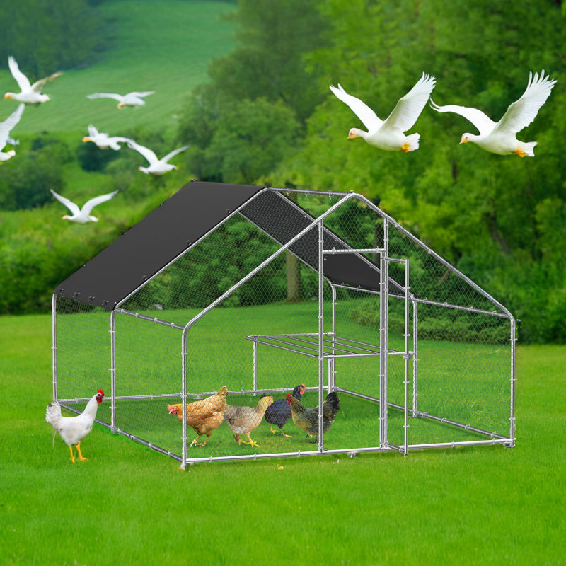 Swanscombe Chicken Run