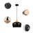 Shakopee 1 - Light Single Pendant