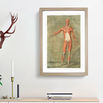 Anatomical Illustration of a Male No. 1 by Gautier-Dagoty - Picture Frame Painting Print