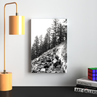 « Rocky Tree Line »-blanc/imprimé sur toile